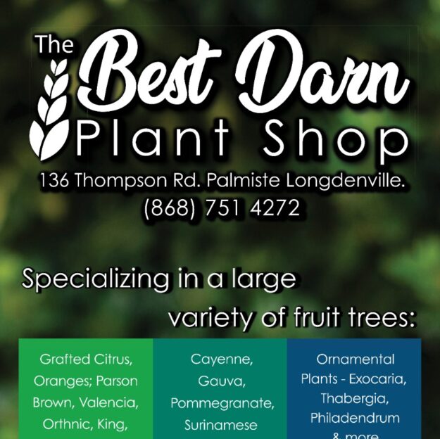 The Best Darn Plant Shop