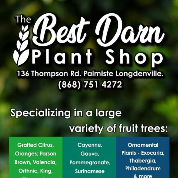 The Best Darn Plant Shop